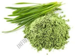 Wheat Grass Powder