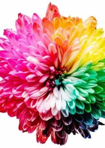 Solvent Dyes For Paints