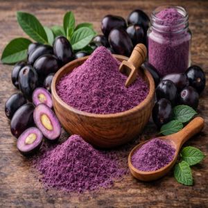 Dehydrated Jamun Fruit Powder