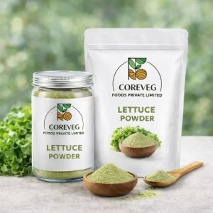Dehydrated Lettuce Powder