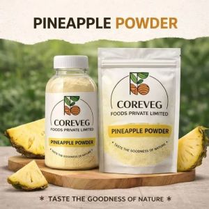 Dehydrated Pineapple Powder