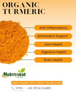 turmeric powder