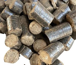 Burning Sawdust Briquettes