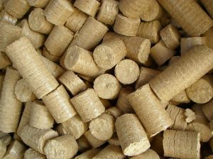 Saw Dust White Coal Biomass Briquette