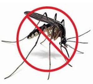Mosquito Pest Control Services