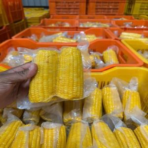 Frozen Yellow Corn