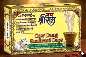 Shree RAM Sambrani Cup