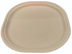 10 Inch Bagasse Disposable Plate