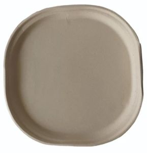 12 Inch Bagasse Disposable Plate