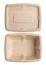 500ml Bagasse Takeaway Food Container with Lid