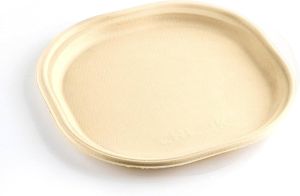 Plain Bagasse Disposable Plate