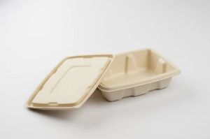 750ml Bagasse Takeaway Food Container with Lid