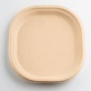 9 Inch Bagasse Disposable Plate