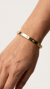 Stainless Steel Gold Plated Crystals Stone Bangle Bracelet