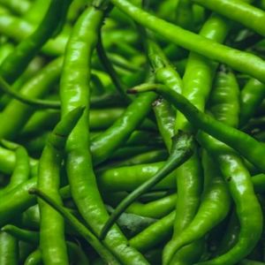Fresh Green Chillies