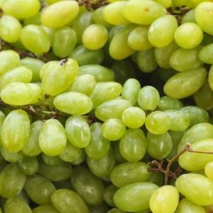 Fresh Green Grapes