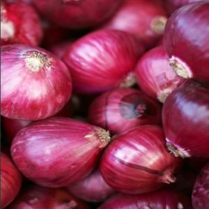 Premium Nashik Red Onion