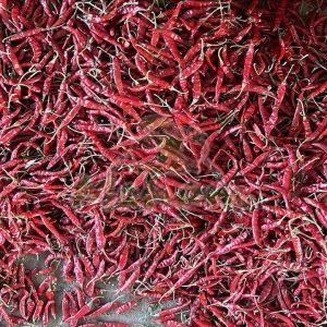 334 Dry Red Chilli