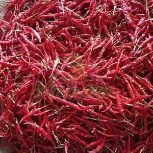 Teja Dry Red Chilli