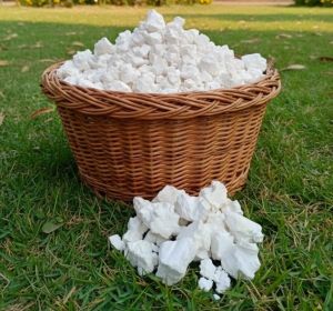 Western Arrowroot Powder
