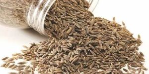 Brown Cumin Seeds