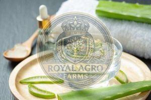 Pure Natural Aloe Vera Gel