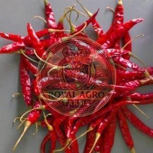 Dried Teja Red Chilli