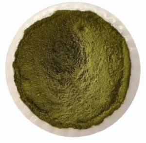 Adusa Leaf Powder