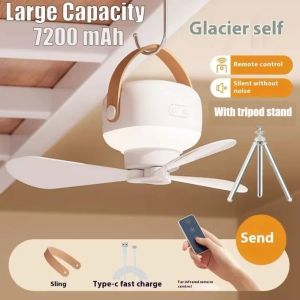 Portable Ceiling Fans with LED Lighting