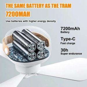 Portable Ceiling Fans with LED Lighting