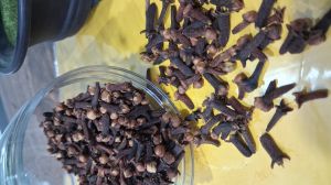 Clove Buds