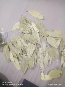Dried Bay Leaves
