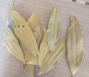 Dried Bay Leaves