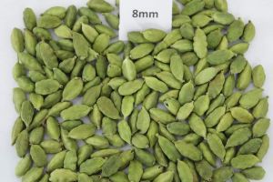 green cardamom