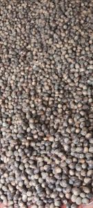Nutmeg Seeds