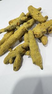 turmeric finger