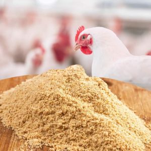 10% Broiler Concentrate Finisher