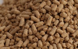 Broiler Finisher Poultry Feed