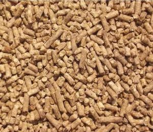Broiler Starter Poultry Feed