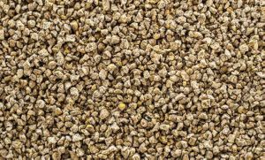Layer Grower Feed