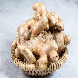 A Grade Fresh Ginger