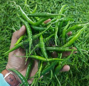A Grade G4 Fresh Green Chilli
