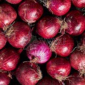 A Grade Fresh Red Onions