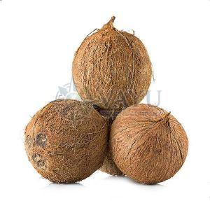 Semi Husked Coconut