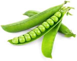 A Grade Fresh Green Pea