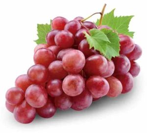 A Grade Fresh Red Globe Grape