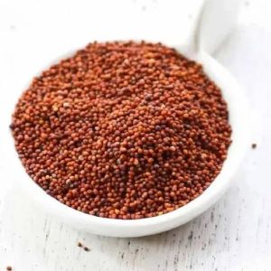 Red Mustard Seeds