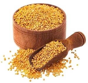 Yellow Mustard Seeds
