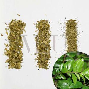 Curry Leaves TBC