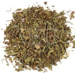 Krishna Tulsi TBC
